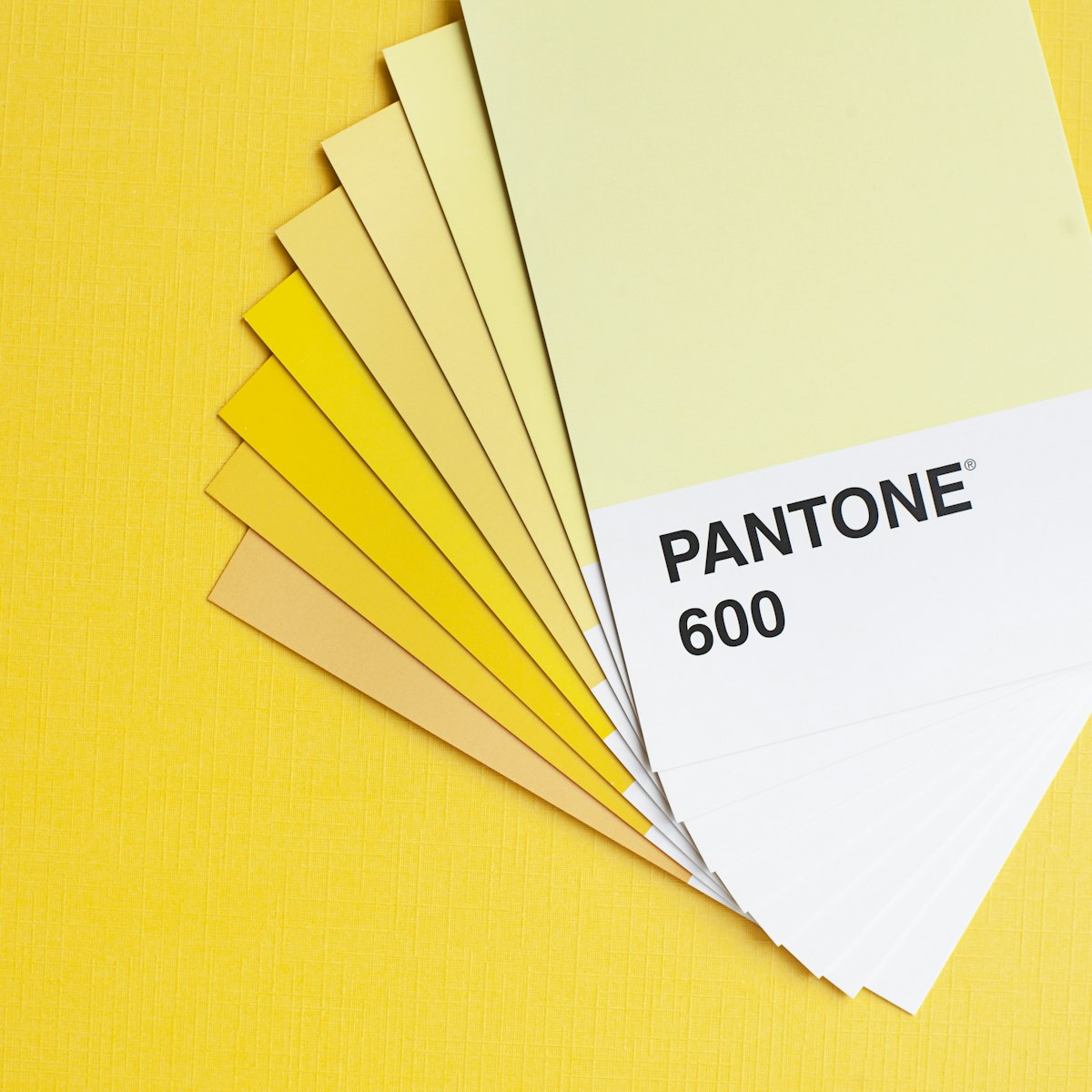Brand Identity & Digital Presence